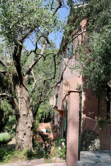 Mas Thomasine Séjour Romantique au calme Peillon Esterno foto